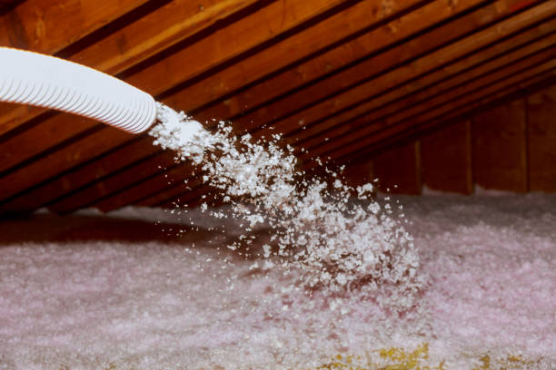 Best Energy-efficient Insulation  in Whitesboro, NY