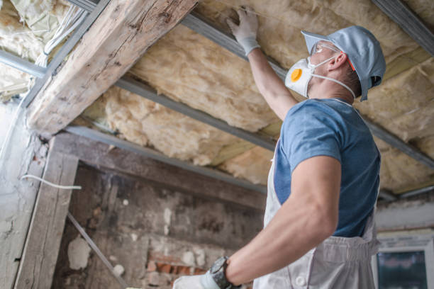 Professional Insulation Contractor in Whitesboro, NY