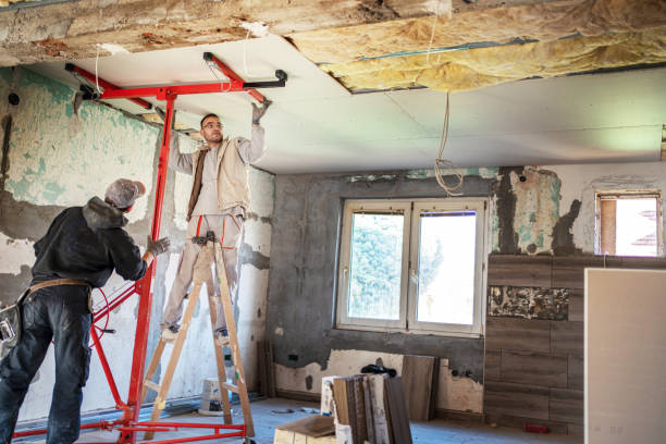 Best Professional Insulation Contractor  in Whitesboro, NY